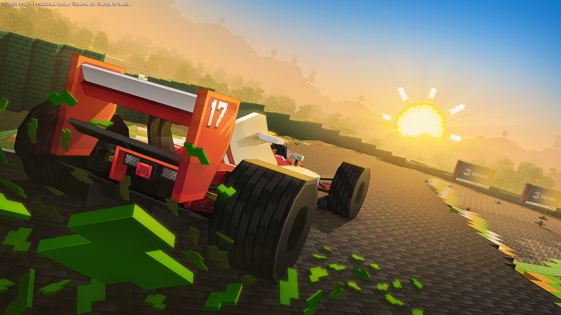 Senna Driving
