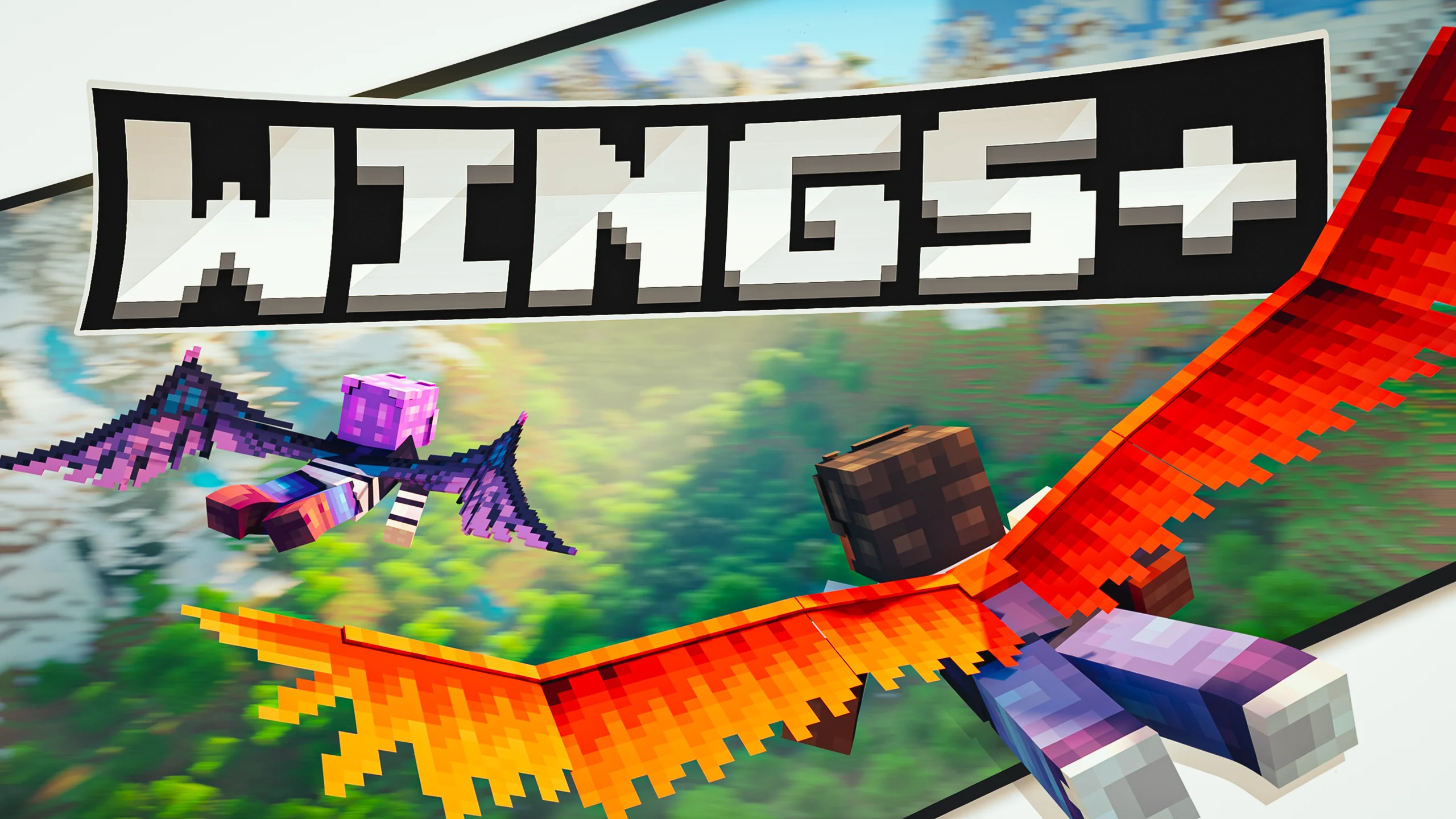 Wings+