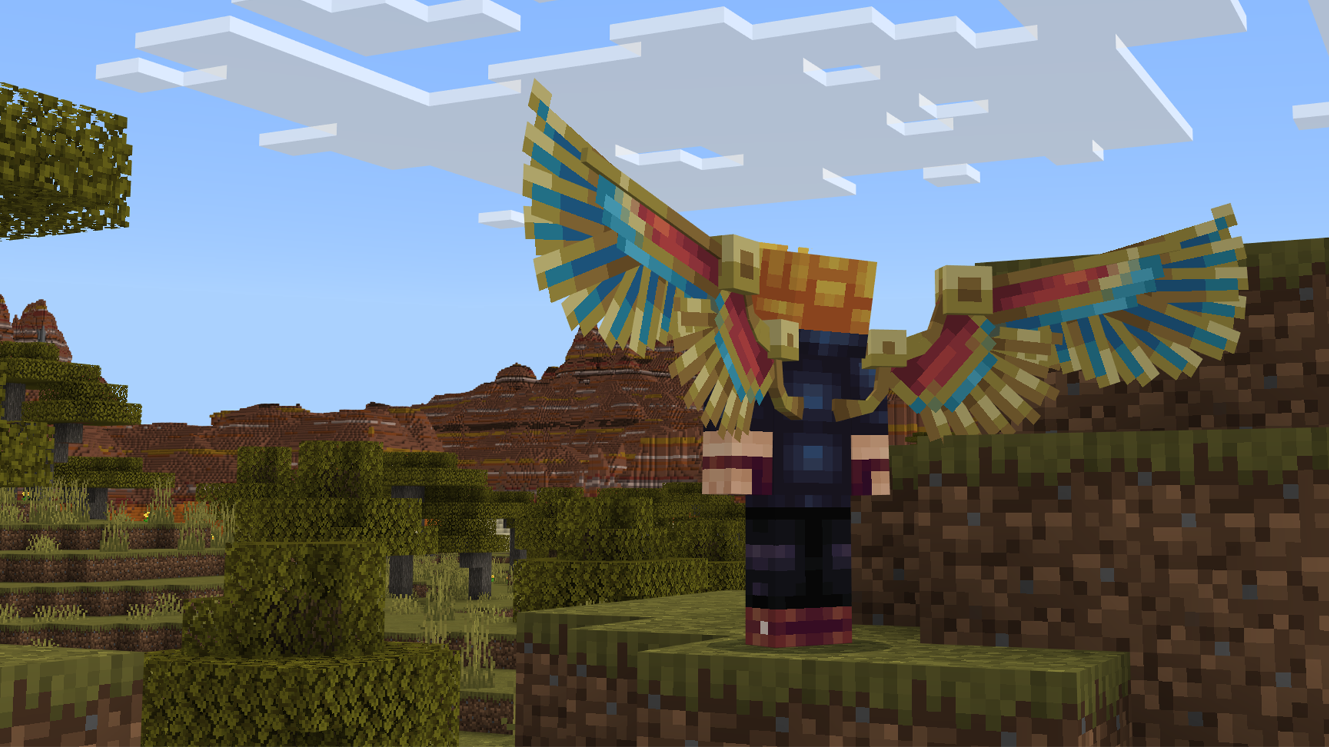 Wings Details