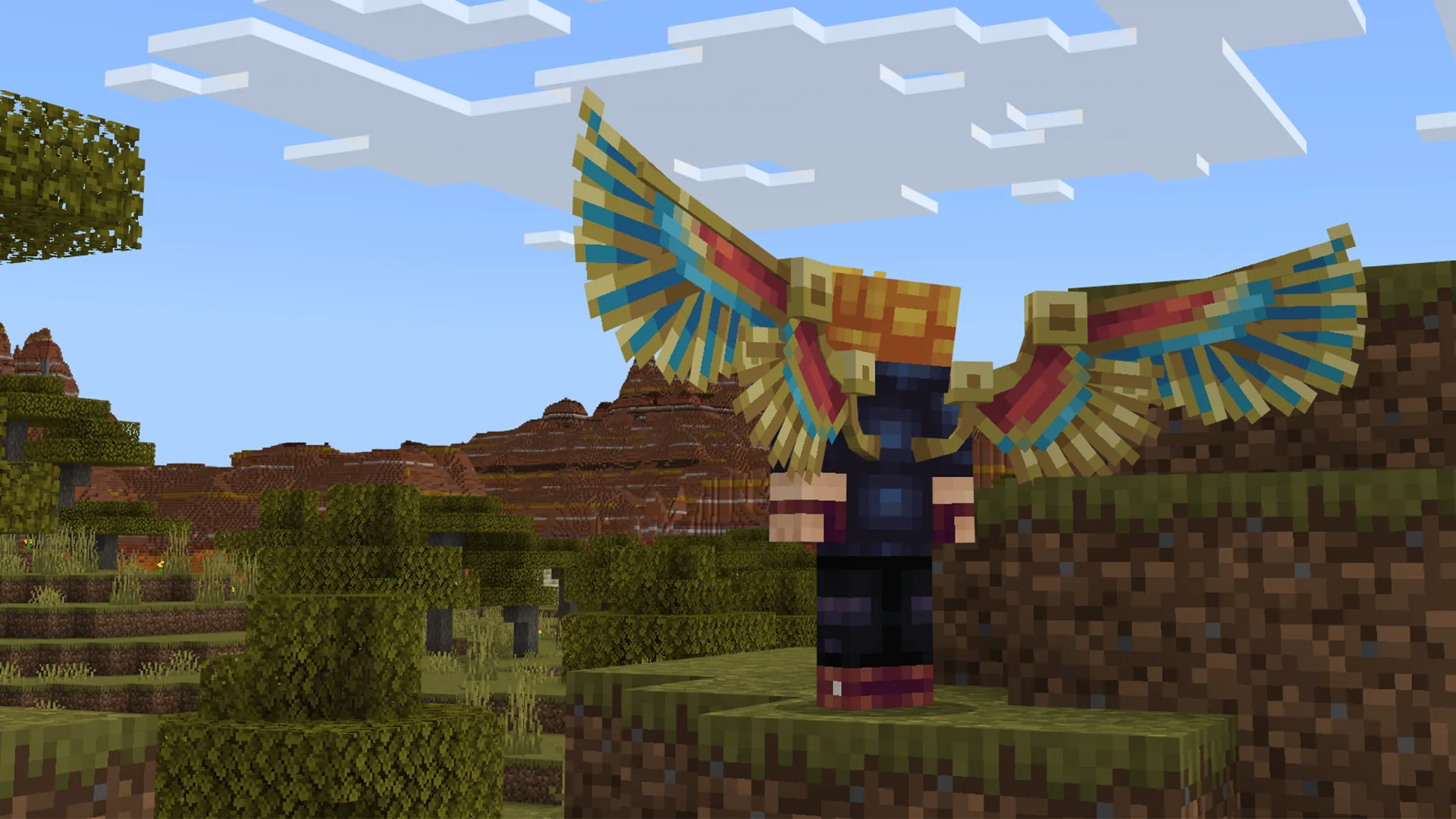 Wings Details