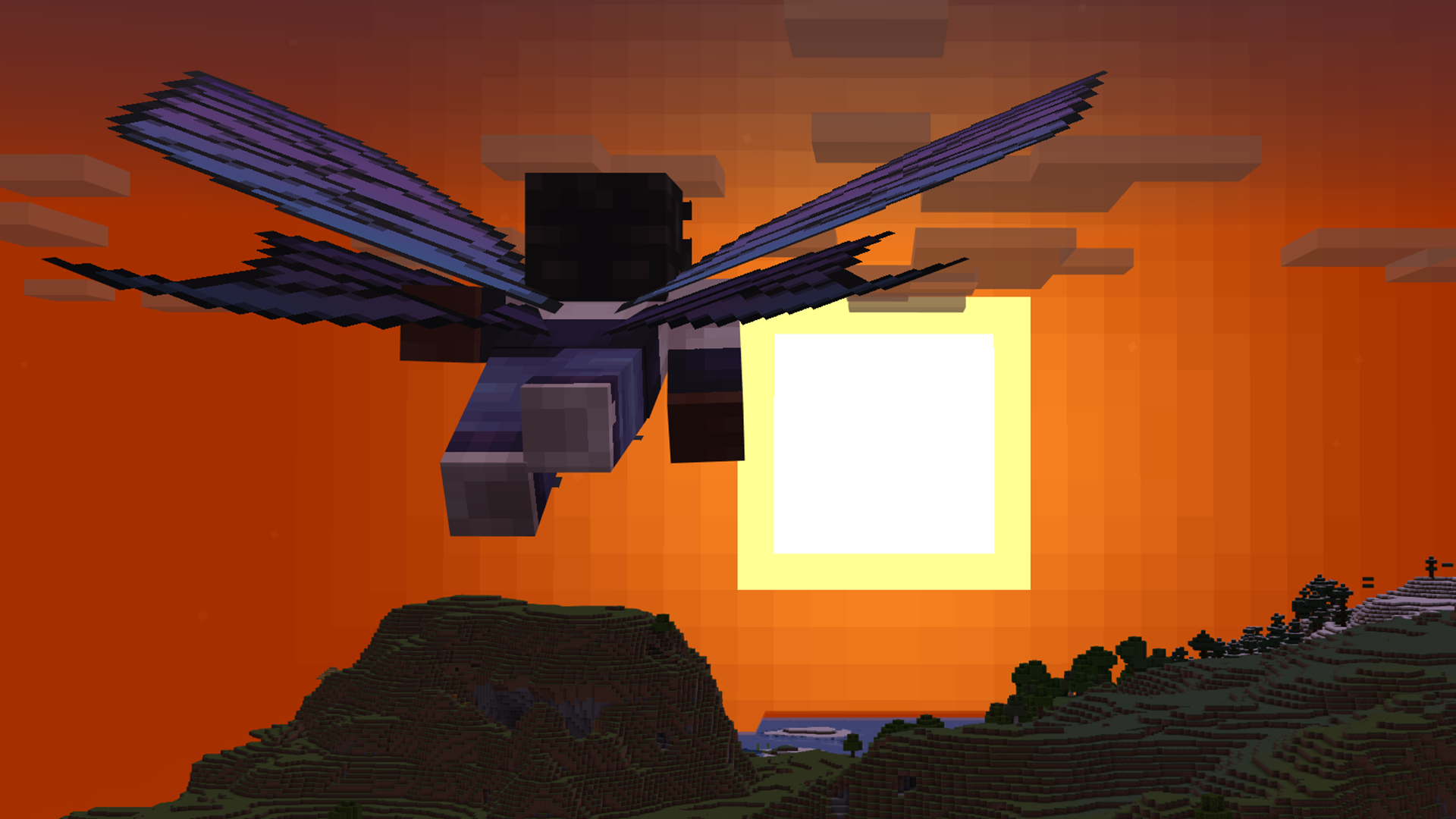 Beautiful Wings