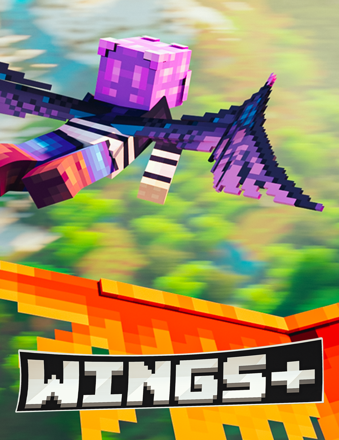 Wings+